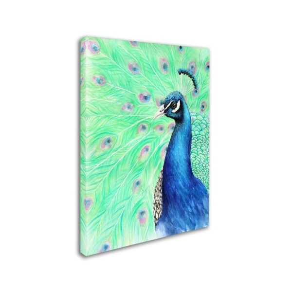 Michelle Faber 'Mr Peacock' Canvas Art,14x19